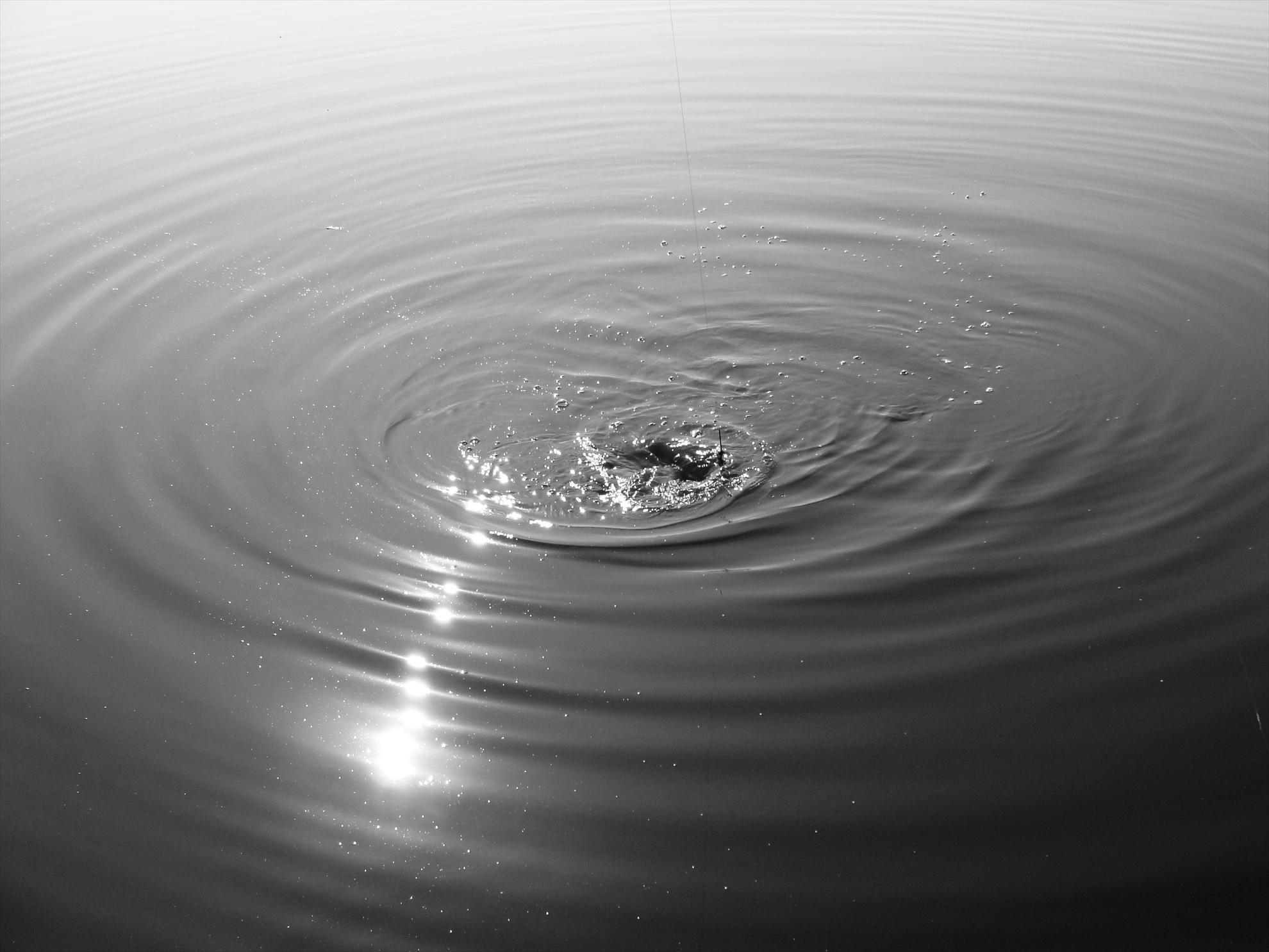 Moara Vlasiei 2 23 - 24 iun. - dsc00769.JPG